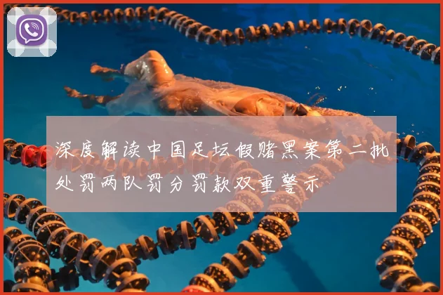 深度解读中国足坛假赌黑案第二批处罚两队罚分罚款双重警示